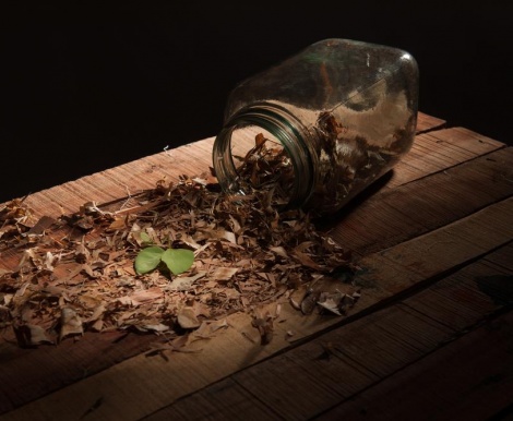 Contamination of Belief & Behaviour - Who is Responsible? - (Part I)
